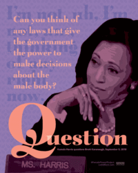 QUESTION for Kamala Harris, perSISTERS print in the Female Power Project <a href="https://www.ledablack.com/question-kamala-harris-redux/">read about it</a> FemalePowerProject Kamala Harris