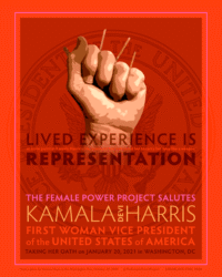 The Female Power Project salutes our first woman Vice President <a href="https://www.ledablack.com/lived-experience-is-representation/">read about it</a> The image shows a fist holding keys as a weapon and represents the violence women have been taught to prepare themselves for. It is combined with a drawing of the official seal of the office of Vice President showing an eagle gripping vegetation in one claw and arrows in the other.
